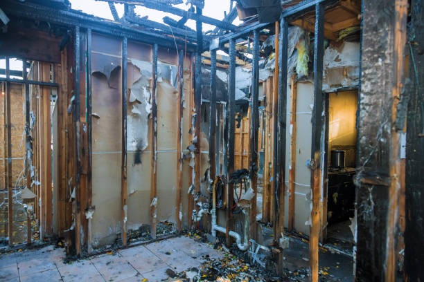 Professional Fire Damage Removal technician working in Sarasota, FL