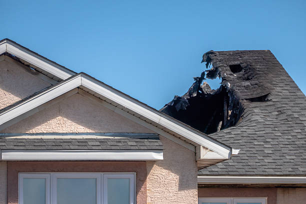 Top rated local Fire Damage Removal specialists in Sarasota, FL